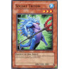 yu-gi-oh-tcg-rgbt-fr034-c-soldat-triton-rage-des-guerriers