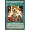 yu-gi-oh-tcg-rgbt-fr049-c-puissance-merveilleuse-rage-des-guerriers