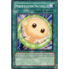 yu-gi-oh-tcg-rgbt-fr059-c-modification-naturelle-rage-des-guerriers