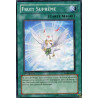 yu-gi-oh-tcg-rgbt-fr060-c-fruit-supreme-rage-des-guerriers