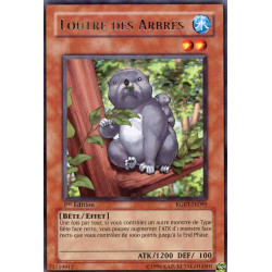 yu-gi-oh-tcg-rgbt-fr095-r-loutre-des-arbres-rage-des-guerriers