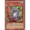yu-gi-oh-tcg-rgbt-fr095-r-loutre-des-arbres-rage-des-guerriers