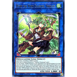yu-gi-oh-tcg-rira-en046-r-wynn-the-wind-charmer-verdant-rising-rampage