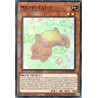 yu-gi-oh-tcg-rotd-en018-sr-melffy-catty-rise-of-the-duelist