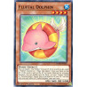 yu-gi-oh-tcg-rotd-en021-c-fluffal-dolphin-rise-of-the-duelist