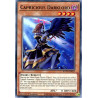 yu-gi-oh-tcg-rotd-en023-c-capricious-darklord-rise-of-the-duelist