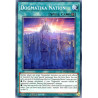 yu-gi-oh-tcg-rotd-en051-c-dogmatika-nation-rise-of-the-duelist