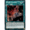 yu-gi-oh-tcg-rotd-en052-se-nadir-servant-rise-of-the-duelist
