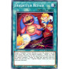 yu-gi-oh-tcg-rotd-en058-c-frightfur-repair-rise-of-the-duelist