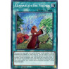 yu-gi-oh-tcg-rotd-en061-se-adamancipator-friends-rise-of-the-duelist