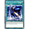 yu-gi-oh-tcg-rotd-en064-c-fury-of-kairyu-shin-rise-of-the-duelist