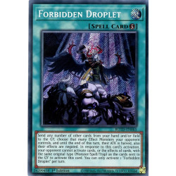 yu-gi-oh-tcg-rotd-en065-se-forbidden-droplet-rise-of-the-duelist