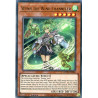 yu-gi-oh-tcg-rotd-en086-ur-wynn-the-wind-channeler-rise-of-the-duelist