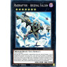 yu-gi-oh-tcg-rotd-en094-sr-raidraptor-arsenal-falcon-rise-of-the-duelist