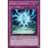 yu-gi-oh-tcg-rymp-fr055-sr-cristal-raigeki