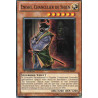 yu-gi-oh-tcg-rymp-fr097-c-enishi-chancelier-de-shien