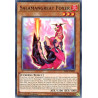 yu-gi-oh-tcg-sast-en005-c-salamangreat-foxer