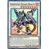 yu-gi-oh-tcg-sast-en037-se-borreload-savage-dragon