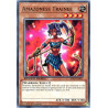 yu-gi-oh-tcg-sbad-en015-c-amazoness-trainee