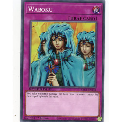 yu-gi-oh-tcg-sbcb-en143-c-waboku