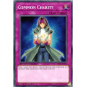 yu-gi-oh-tcg-sbls-en016-c-common-charity