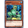 yu-gi-oh-tcg-sbsc-en014-c-skreech
