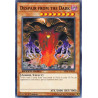 yu-gi-oh-tcg-sbtk-en018-c-despair-from-the-dark