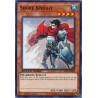 yu-gi-oh-tcg-sbtk-en026-c-shore-knight