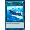 yu-gi-oh-tcg-sbtk-en036-sr-surface