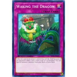 yu-gi-oh-tcg-sbtk-en045-c-waking-the-dragon