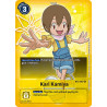 Digimon_TCG_BT2-087_AA_Kari_Kamiya_Alternative_Art_Ultimate_Power_Card_Game