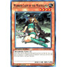 yu-gi-oh-tcg-sgx1-ene05-c-warrior-lady-of-the-wasteland