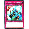 yu-gi-oh-tcg-sgx1-ene18-c-hallowed-life-barrier