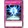 yu-gi-oh-tcg-sgx1-enf16-c-crystal-raigeki