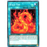 yu-gi-oh-tcg-sgx1-enh16-c-wild-fire
