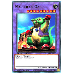 yu-gi-oh-tcg-sgx1-eni13-c-master-of-oz