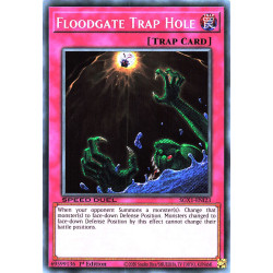 yu-gi-oh-tcg-sgx1-eni23-se-floodgate-trap-hole