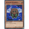 yu-gi-oh-tcg-sgx2-ena06-c-winged-kuriboh