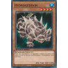 yu-gi-oh-tcg-sgx2-enc03-c-hydrogeddon