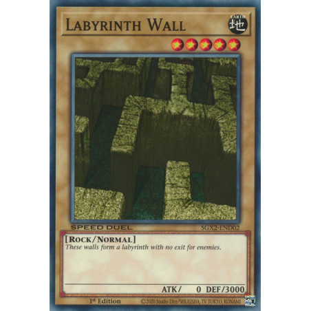 yu-gi-oh-tcg-sgx2-end02-c-labyrinth-wall