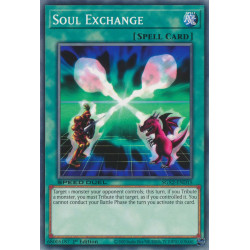 yu-gi-oh-tcg-sgx2-end15-c-soul-exchange