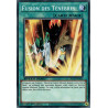 yu-gi-oh-tcg-sgx3-fra13-c-fusion-des-tenebres
