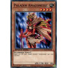 yu-gi-oh-tcg-sgx3-frd04-c-paladin-amazonesse