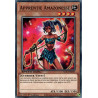 yu-gi-oh-tcg-sgx3-frd07-c-apprentie-amazonesse