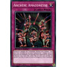 yu-gi-oh-tcg-sgx3-frd16-c-archere-amazonesse