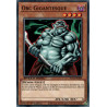 yu-gi-oh-tcg-sgx3-fre09-c-orc-gigantesque