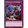 yu-gi-oh-tcg-sgx3-frf20-c-malediction-du-vieillissement