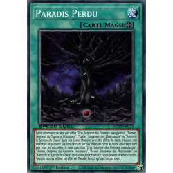 yu-gi-oh-tcg-sgx3-frg10-c-paradis-perdu