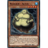 yu-gi-oh-tcg-sgx3-frh04-c-nuagien-altus