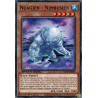 yu-gi-oh-tcg-sgx3-frh09-c-nuagien-nimbusien